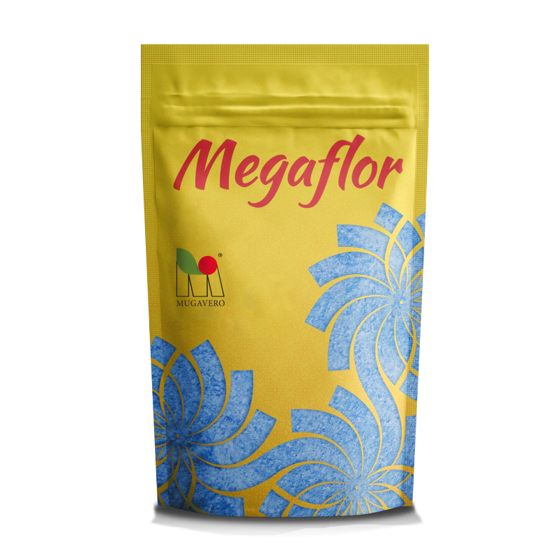 Megaflor Mix